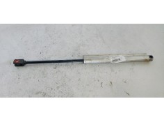 AMORTIGUADORES CAPO 1919030D 