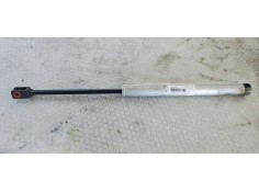 AMORTIGUADORES CAPO 1919030D 