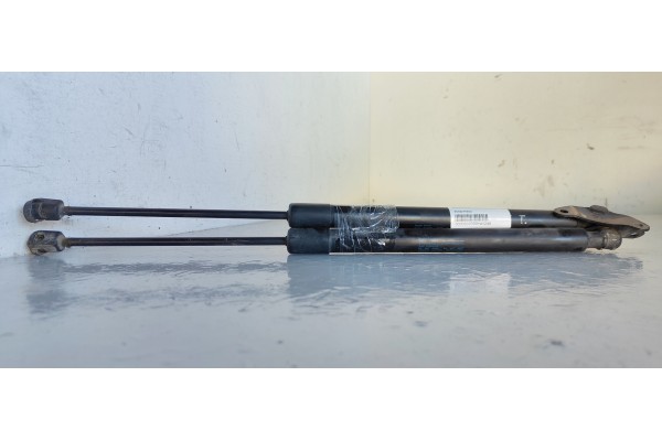 Recambio de amortiguadores maletero / porton para volkswagen tiguan (5n1) advance referencia OEM IAM 5N0827550D  