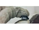 Recambio de enganche cinturon trasero izquierdo para bmw serie 1 lim. (f20) 2.0d 190 [120] fap referencia OEM IAM 7266352  