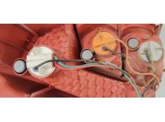 Recambio de piloto trasero izquierdo para suzuki swift berlina (mz) 1.3 i 90 referencia OEM IAM   