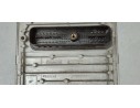 Recambio de centralita motor uce para ford fiesta (cbk) 1.4 16v cat referencia OEM IAM S118325001  