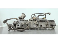 COLECTOR ADMISION 55565592 