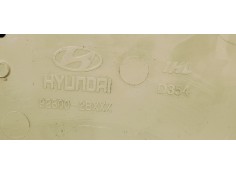 Recambio de luz interior para hyundai santa fe (bm) 2.2 crdi style 4x4 referencia OEM IAM 928002BXXX  