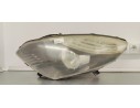 Recambio de faro izquierdo para renault scenic iii 1.9 dci 130 referencia OEM IAM 260600023R  