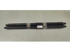 AMORTIGUADORES MALETERO / PORTON 13247949 