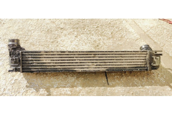 Recambio de intercooler para renault scenic iii 1.9 dci 130 referencia OEM IAM 144960022R  