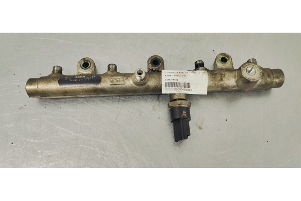 Recambio de rampa inyectora para citroen c5 berlina 2.0 hdi referencia OEM IAM 0445214019  