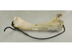 DEPOSITO EXPANSION 254303E900 