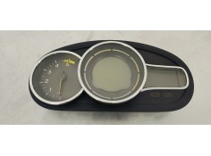 CUADRO INSTRUMENTOS 248103503R 