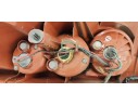 Recambio de piloto trasero izquierdo para mazda 5 berl. (cr) 1.8 active referencia OEM IAM C23551160  