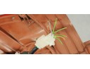 Recambio de piloto trasero izquierdo para mazda 5 berl. (cr) 1.8 active referencia OEM IAM C23551160  