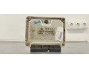 Recambio de centralita motor uce para seat ibiza (6l1) 1.9 tdi referencia OEM IAM 0281011824  