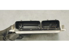 Recambio de centralita motor uce para seat ibiza (6l1) 1.9 tdi referencia OEM IAM 0281011824  