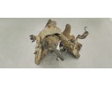 Recambio de bomba inyeccion para opel vectra c berlina comfort referencia OEM IAM 0445010184  