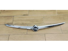 MANETA EXTERIOR PORTON 13244388 