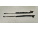 Recambio de amortiguadores maletero / porton para renault scenic iii 1.5dci 85 referencia OEM IAM   