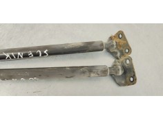 Recambio de amortiguadores maletero / porton para renault scenic iii 1.5dci 85 referencia OEM IAM 904500004R  