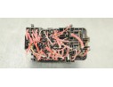 Recambio de caja reles / fusibles para renault scenic iii 1.5dci 85 referencia OEM IAM 18013301C  