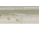 Recambio de luz interior para renault scenic iii 1.5dci 85 referencia OEM IAM 264300007R  