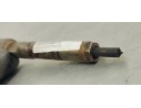 Recambio de inyector para citroen nemo 1.3 hdi 75 fap referencia OEM IAM 0445110351  