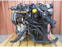 Recambio de motor completo para renault scenic iii 1.9 dci 130 referencia OEM IAM F9Q872  