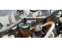 Recambio de motor completo para renault scenic iii 1.9 dci 130 referencia OEM IAM F9Q872  