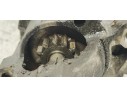 Recambio de motor arranque para renault clio ii fase ii (b/cb0) authentique referencia OEM IAM 8200227092  