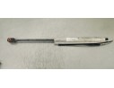 Recambio de amortiguadores capo para volkswagen eos (1f7) 2.0 tdi referencia OEM IAM 1919030D  