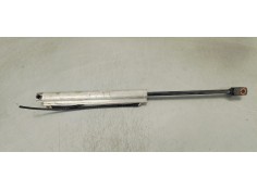 Recambio de amortiguadores capo para volkswagen eos (1f7) 2.0 tdi referencia OEM IAM 1919030D  