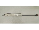 Recambio de amortiguadores capo para volkswagen eos (1f7) 2.0 tdi referencia OEM IAM 1919030D  