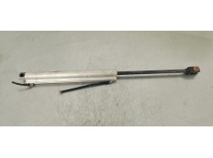 Recambio de amortiguadores capo para volkswagen eos (1f7) 2.0 tdi referencia OEM IAM 1919030D  