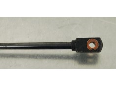 Recambio de amortiguadores capo para volkswagen eos (1f7) 2.0 tdi referencia OEM IAM 1919030D  