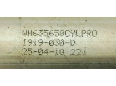 Recambio de amortiguadores capo para volkswagen eos (1f7) 2.0 tdi referencia OEM IAM 1919030D  