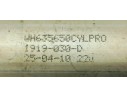 Recambio de amortiguadores capo para volkswagen eos (1f7) 2.0 tdi referencia OEM IAM 1919030D  