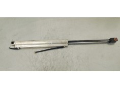 Recambio de amortiguadores capo para volkswagen eos (1f7) 2.0 tdi referencia OEM IAM 1919030D  