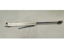 Recambio de amortiguadores capo para volkswagen eos (1f7) 2.0 tdi referencia OEM IAM 1919030D  