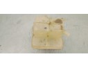 Recambio de deposito expansion para ford focus lim. 1.6 referencia OEM IAM 8V618K218AE  