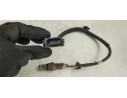 Recambio de sonda lambda para citroen berlingo 1.5 hdi referencia OEM IAM 9816276480  