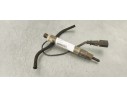 Recambio de inyector para volkswagen golf iv berlina (1j1) básico referencia OEM IAM 038130201S  