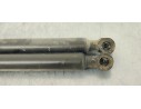 Recambio de amortiguadores maletero / porton para renault clio iv 1.5 dci referencia OEM IAM 844308661R  