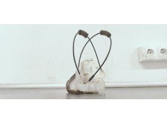 CERRADURA PUERTA TRASERA DERECHA 