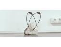 Recambio de cerradura puerta trasera derecha para subaru forester s12 2.0 d referencia OEM IAM   
