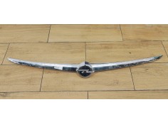 MANETA EXTERIOR PORTON 13244388 
