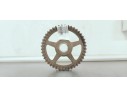 Recambio de polea arbol levas para seat ibiza (6l1) referencia OEM IAM 038109111A  