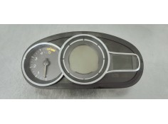 CUADRO INSTRUMENTOS 248100342R 
