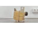 Recambio de deposito expansion para renault koleos 2.0 dci 150 4x4 fap referencia OEM IAM 2243061000  