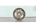 Recambio de polea arbol levas para renault megane iii sport tourer 1.5 dci referencia OEM IAM 585577  