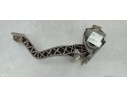 Recambio de pedal acelerador para citroen c4 cactus 1.5 hdi referencia OEM IAM 9671433780  