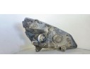 Recambio de faro izquierdo para renault scenic ii 1.5dci 105 referencia OEM IAM   